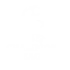 champions-iptv